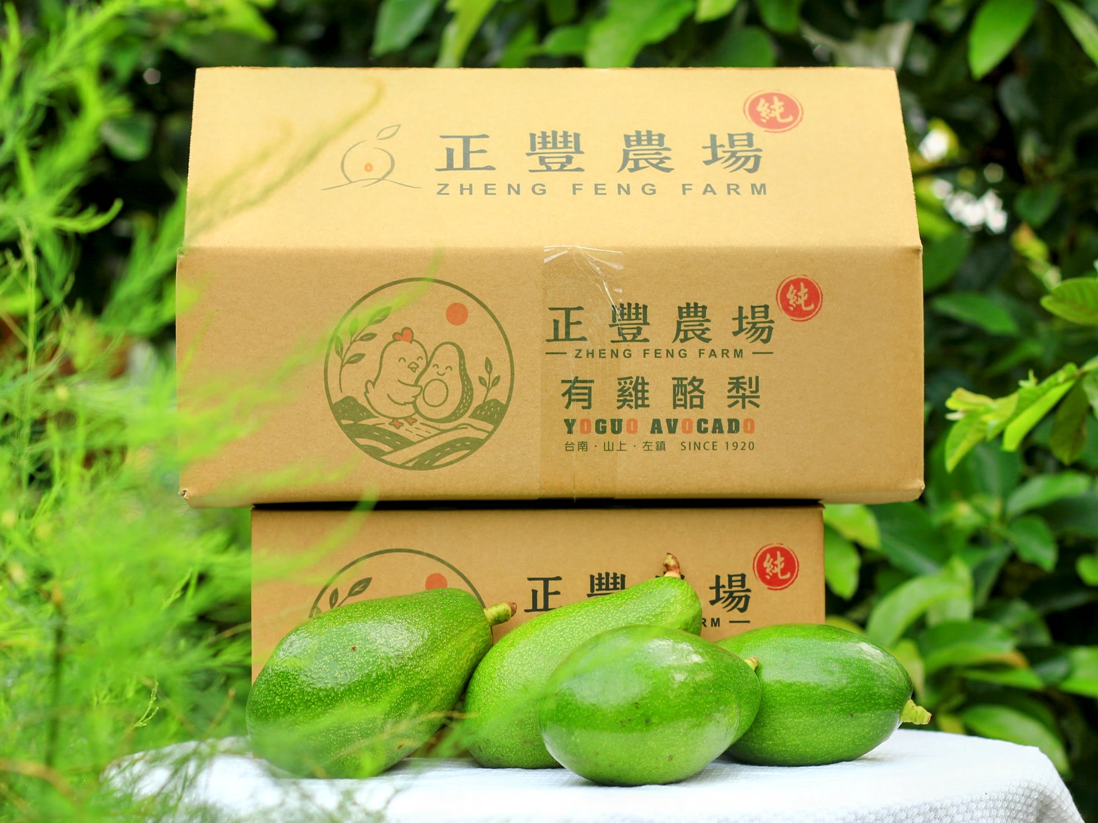 10 斤箱裝——平頂沒有提把；底下那箱只是墊高用的
