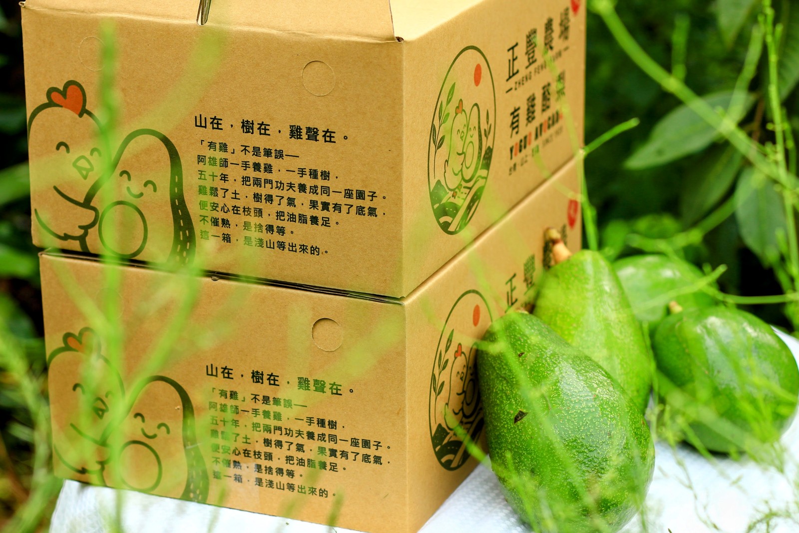 箱側印著我們家的短詩，開頭是那句「山在，樹在，雞聲在。」