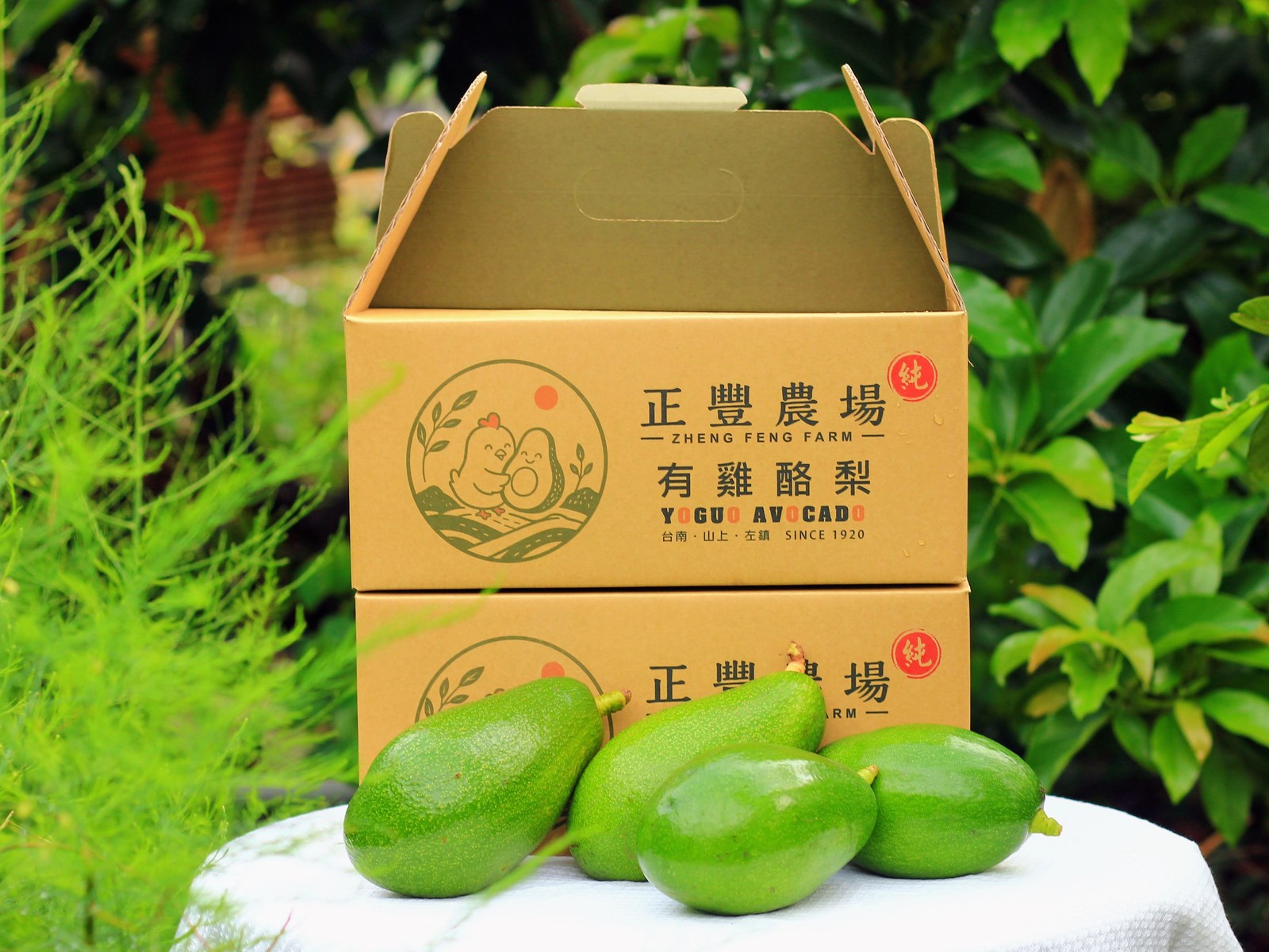 兩箱手提禮盒疊放——頂上立起來的摺舌，就是提把