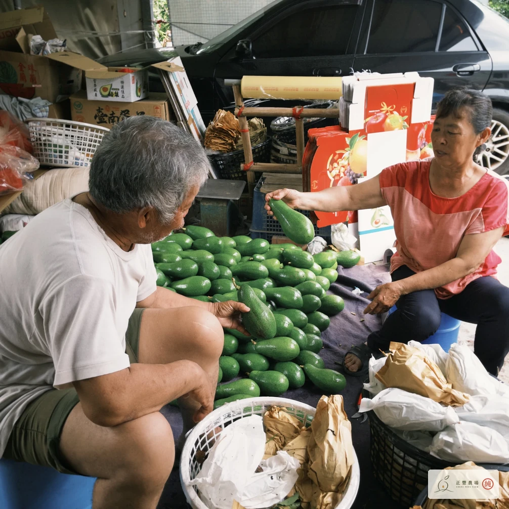 阿雄師與木瓜姨坐在果堆旁整理酪梨